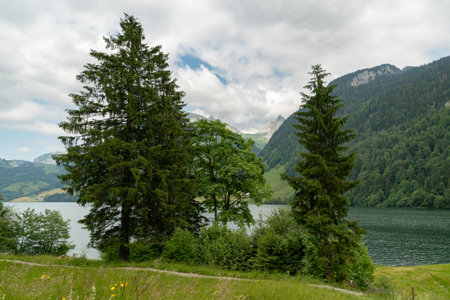 Waegital, Canton Schwyz, Switzerland, June 13, 2023 Fantastic view over the beautiful lake Waegitalersee surrounded by the majestic swiss alps on a sunny dayの写真素材