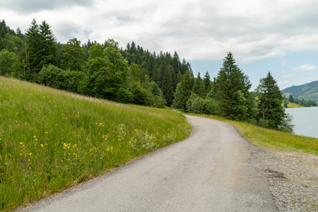 Waegital, Canton Schwyz, Switzerland, June 13, 2023 Green meadow at the coast of the fascinating Waegitalersee with the beautiful alps in the backgroundの写真素材