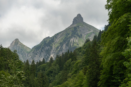 Waegital, Canton Schwyz, Switzerland, June 13, 2023 Peak of the mount Zindlenspitz protruding behind some green treesの写真素材