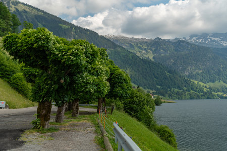 Waegital, Canton Schwyz, Switzerland, June 13, 2023 Fantastic view over the beautiful lake Waegitalersee surrounded by the majestic swiss alps on a sunny dayの写真素材
