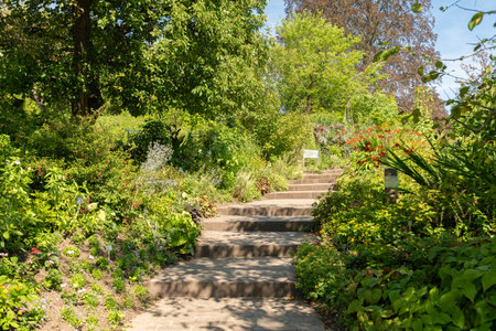 Zurich, Switzerland, July 14, 2023 Different plants at the botanical gardenの写真素材