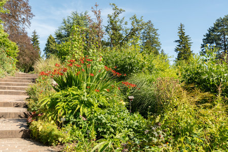 Zurich, Switzerland, July 14, 2023 Different plants at the botanical gardenの写真素材