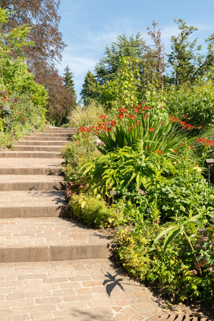 Zurich, Switzerland, July 14, 2023 Different plants at the botanical gardenの写真素材