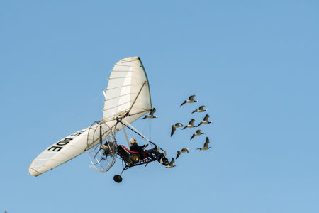 Mollis, Switzerland, August 18, 2023 Ultralight airplane is escorted with birds during an air displayのeditorial素材