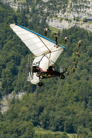 Mollis, Switzerland, August 18, 2023 Ultralight airplane is escorted with birds during an air displayのeditorial素材