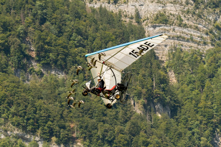 Mollis, Switzerland, August 18, 2023 Ultralight airplane is escorted with birds during an air displayのeditorial素材
