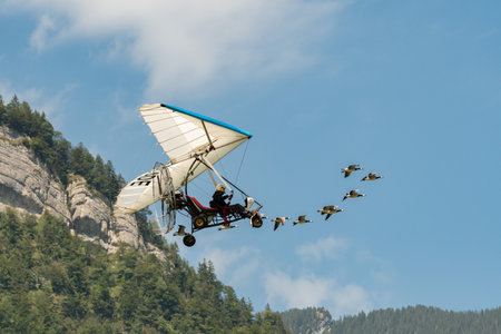 Mollis, Switzerland, August 18, 2023 Ultralight airplane is escorted with birds during an air displayのeditorial素材
