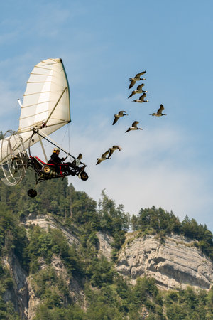Mollis, Switzerland, August 18, 2023 Ultralight airplane is escorted with birds during an air displayのeditorial素材