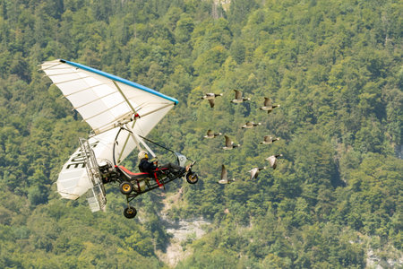 Mollis, Switzerland, August 18, 2023 Ultralight airplane is escorted with birds during an air displayのeditorial素材