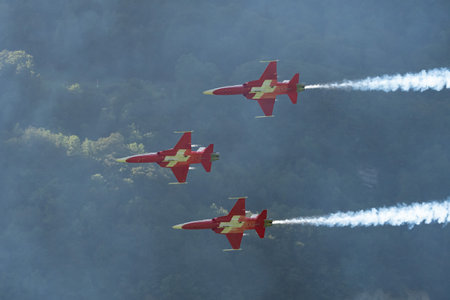 Mollis, Switzerland, August 18, 2023 Patrouille Suisse Northrop F-5E Tiger II military jet doing acrobatic flights during an air displayのeditorial素材
