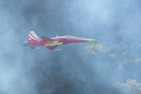 Mollis, Switzerland, August 18, 2023 Patrouille Suisse Northrop F-5E Tiger II military jet doing acrobatic flights during an air displayのeditorial素材