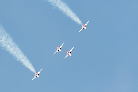 Mollis, Switzerland, August 18, 2023 Patrouille Suisse Northrop F-5E Tiger II military jet doing acrobatic flights during an air displayのeditorial素材