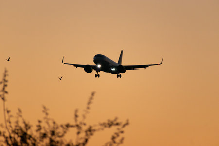 Zurich, Switzerland, September 6, 2023 EC-NCF Vueling Airlines Airbus A320-271N Neo aircraft on its final approach to runway 14 in the eveningのeditorial素材