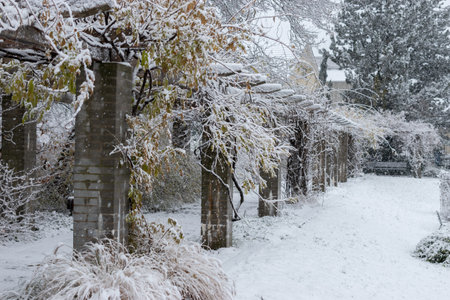 Saint Gallen, Switzerland, November 28, 2023 Winter mood at the botanical garden during a snow showerの写真素材