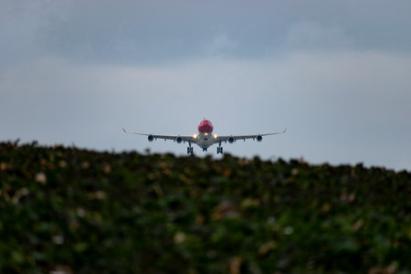 Zurich, Switzerland, January 15, 2024 HB-JMD Edelweiss Air Airbus A340-313X aircraft is landing on runway 14のeditorial素材