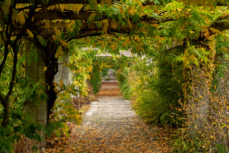 Saint Gallen, Switzerland, October 19, 2024 Colorful autumn mood with different plantations at the botanical gardenの写真素材