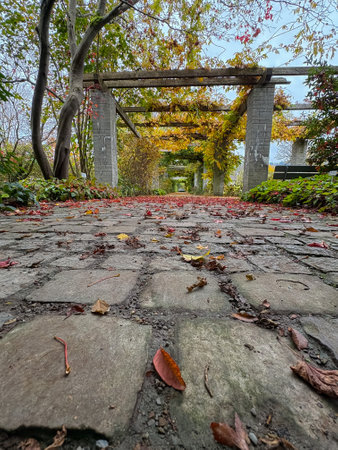 Saint Gallen, Switzerland, October 19, 2024 Colorful autumn mood with different plantations at the botanical gardenの写真素材