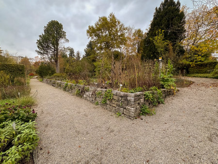 Saint Gallen, Switzerland, October 19, 2024 Colorful autumn mood with different plantations at the botanical gardenの写真素材