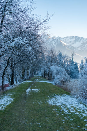 Vaduz, Liechtenstein, December 31, 2024 Frozen landscape with mountains in the background on a cold dayの写真素材