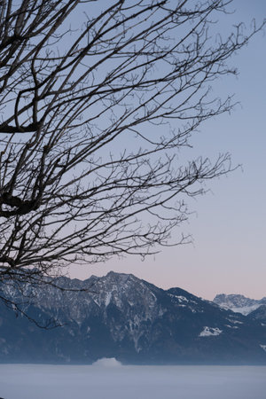 Gams, Switzerland, December 30, 2024 Foggy scenery over the rhine valley with a colorful sky after sunsetの写真素材