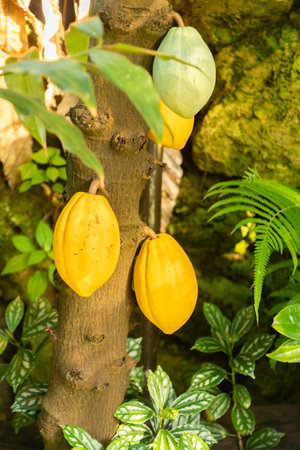 Zurich, Switzerland, March 4, 2025 at the botanical gardenの写真素材