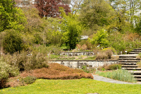 Saint Gallen, Switzerland, April 19, 2025 Different plantations at the botanical garden on a sunny day in spring timeの写真素材
