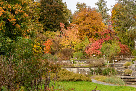 Saint Gallen, Switzerland, October 19, 2025 Colorful autumn mood at the botanical gardenの写真素材