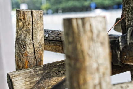 Chopped Wood