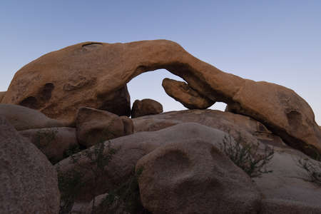 Golden hour light falls on Arch Rock Joshua Tree National Parkの写真素材