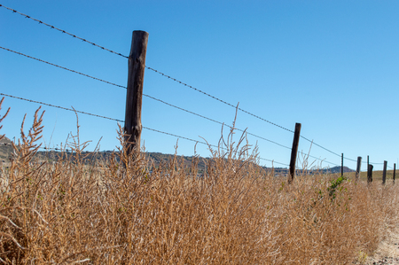 Old barbed wire fence in Colorado field of grassの写真素材