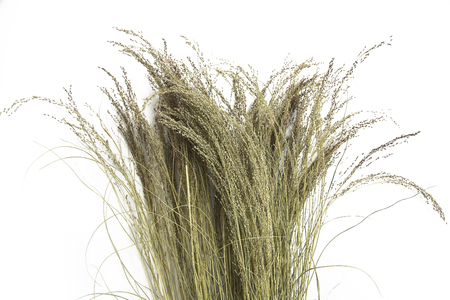 Natural linen straws in isolated white backgroundの写真素材