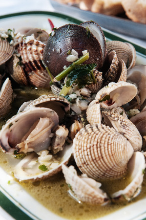 Sea food dish with shells, chard and garlic in white wine sauceの写真素材