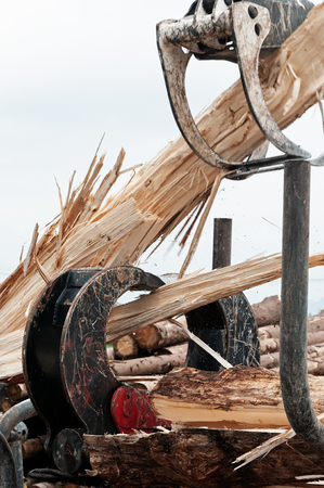 Large wooden log being forcefully split by hanging timber jaws and hydraulic log jaw wood splitterの写真素材