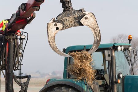 Operator of forestry tractor crane with grapple tossing mulch straw on the field. Agriculture,...