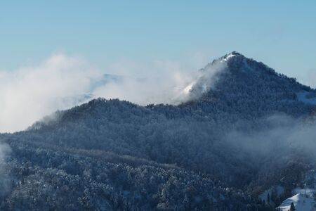 Wonderful wintry scene of snow covered landscape and hills in morning fog. Hiking, seasonal, beauty...