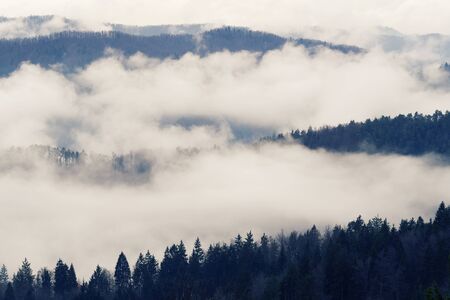 Morning mist covering slopes of mixed forest on a late autumn day. Forestry, ecology, climate change...