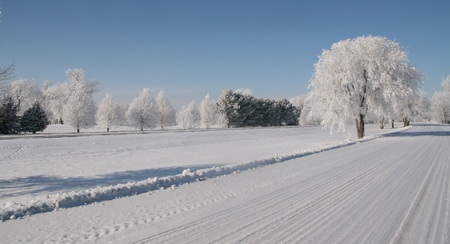 Frost on trees creating frosty winter scene along a country roadの写真素材