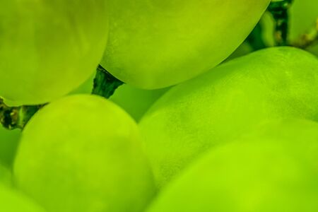Fresh healthy grapes Close Upの写真素材