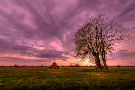 lonely tree , haystack sunset lonely chapelの写真素材