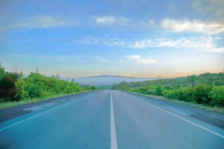asphalt road with a center line on a background of green nature.の写真素材