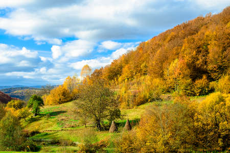 autumn landscape. autumn mountains and trees with yellow and red leaves.の写真素材