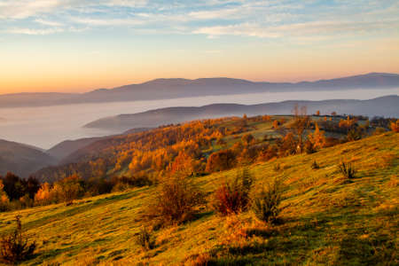 dawn in the mountains the sun shines on the glade and forest. Autumn season.の写真素材