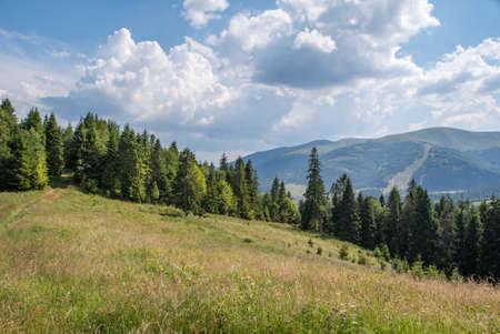 the mountains are covered with forests and meadows on top of the mountain.
