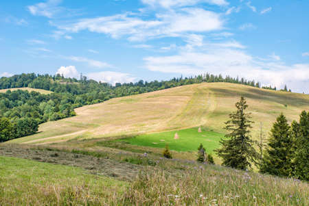 the mountains are covered with forests and meadows on top of the mountain.