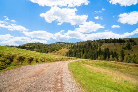 road on a background of forest and hills and fields blue sky with clouds. Landscape nature.の写真素材