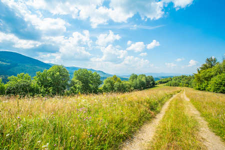 road near the field covered with grass and flowers and trees on a background of mountains and blue sky and clouds. summer season.の写真素材