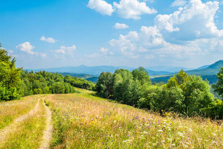 the road on the hill is covered with grass and flowers and trees on a background of mountains. Countryside. Mountain landscape.の写真素材