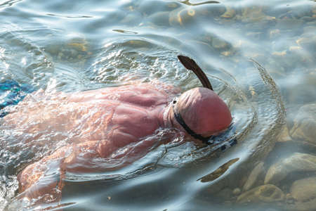 man swims with a mask and snorkel in the sea.