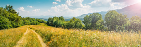 Panoramic landscape with fields of flowers and a road on the background of a mountain landscape....