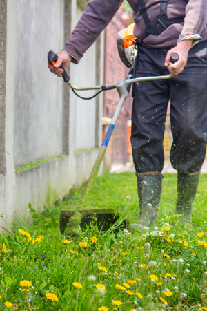 a man mows the grass with a chainsaw in the yard. the gardener is moving grass with a string lawn mower.の写真素材
